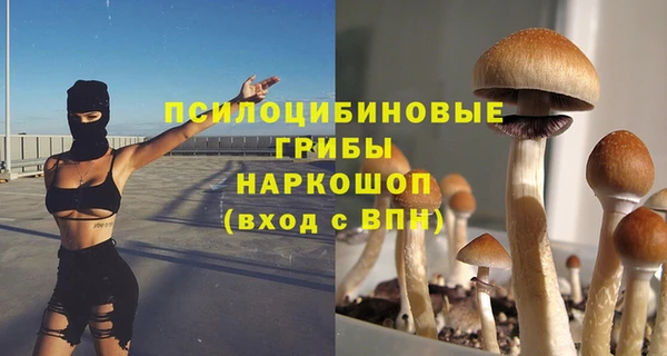 мет Абаза